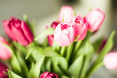 Güzel lale, çiçek arka plan buket