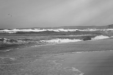 Okyanus manzarası, mükemmel seyahat ve tatil yeri.