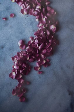 Mermer taş üzerinde gül yaprakları, çiçek arka plan