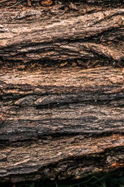 Ahşap desenli arka plan