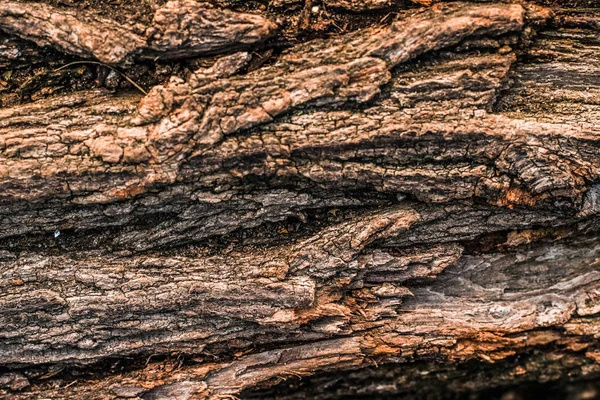 Fundo texturizado de madeira — Fotografia de Stock