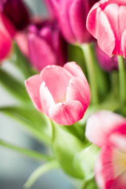 Güzel lale, çiçek arka plan buket