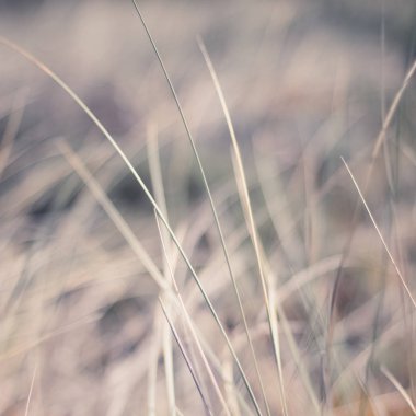 Kırsal alan, kırsal bir gün