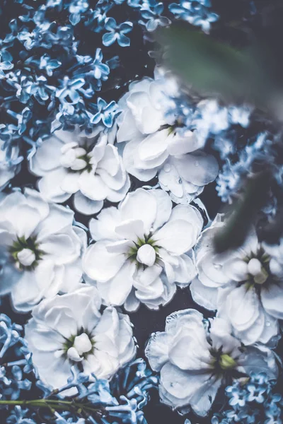 在梦的花园中的复古花, 花卉背景 — 图库照片