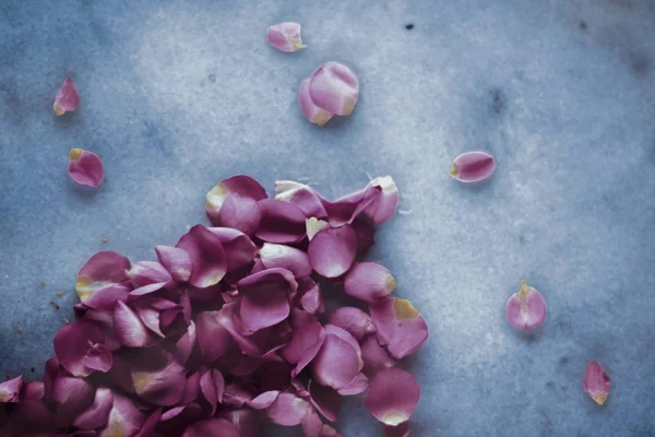 Petali di rosa su pietra di marmo, sfondo floreale — Foto Stock