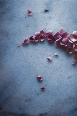 Mermer taş üzerinde gül yaprakları, çiçek arka plan