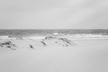 Okyanus manzarası, mükemmel seyahat ve tatil yeri.