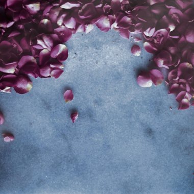 Mermer taş üzerinde gül yaprakları, çiçek arka plan