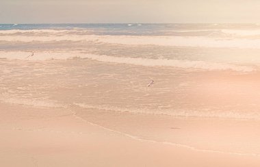 Okyanus manzarası, mükemmel seyahat ve tatil yeri.