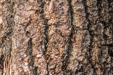 Ahşap desenli arka plan