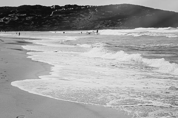 Vue sur la côte de l'océan, destination de voyage et de vacances parfaite — Photo