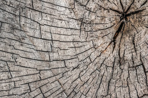 Ahşap desenli arka plan