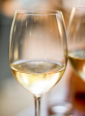 Paris'te bir restoranda Fransız beyaz şarap, seyahat deneyimi