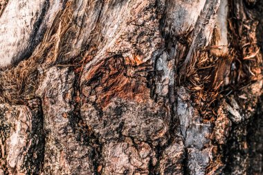 Ahşap desenli arka plan