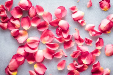 Mermer taş üzerinde gül yaprakları, çiçek arka plan