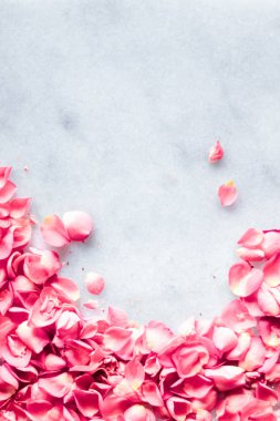 Mermer taş üzerinde gül yaprakları, çiçek arka plan