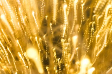 Göz kamaştırıcı altın glitter, lüks tatil arka plan