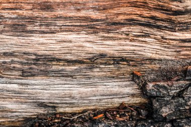 Ahşap desenli arka plan