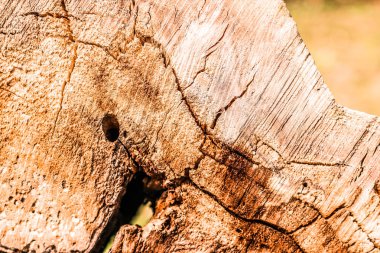 Ahşap desenli arka plan