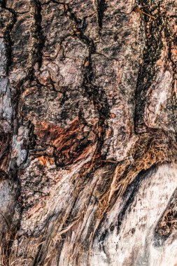 Ahşap desenli arka plan