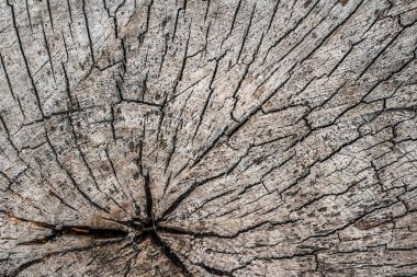 Ahşap desenli arka plan