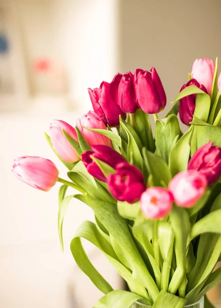 Bouquet de belles tulipes, fond floral — Photo