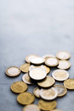 Euro paralar, Avrupa Birliği para birimi 