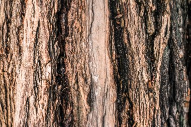 Ahşap desenli arka plan