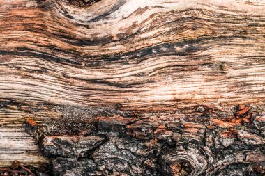 Ahşap desenli arka plan