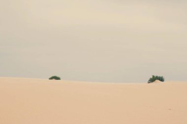 Okyanus manzarası, mükemmel seyahat ve tatil yeri.