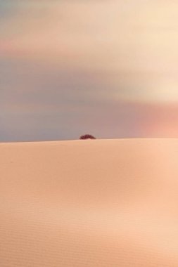 Okyanus manzarası, mükemmel seyahat ve tatil yeri.