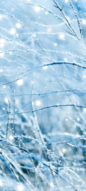 Kış tatili arka plan, parlak kar ve Co ile doğa manzarası