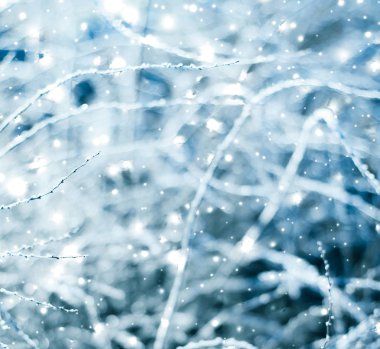 Kış tatili arka plan, parlak kar ve Co ile doğa manzarası