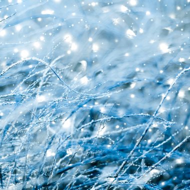 Kış tatili arka plan, parlak kar ve Co ile doğa manzarası