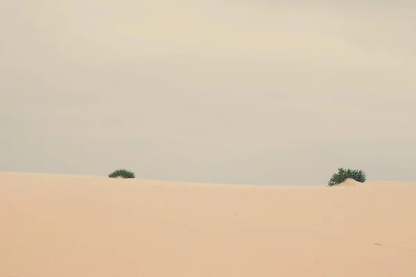 Vista de la costa del océano, viaje perfecto y destino de vacaciones —  Fotos de Stock