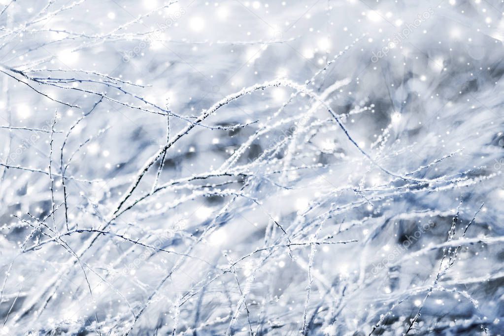 Winter holiday background, nature scenery with shiny snow and co