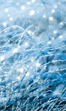 Kış tatili arka plan, parlak kar ve Co ile doğa manzarası