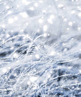 Kış tatili arka plan, parlak kar ve Co ile doğa manzarası