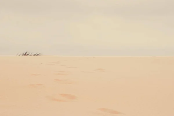 Uitzicht op de oceaan, perfecte reis- en vakantiebestemming — Stockfoto