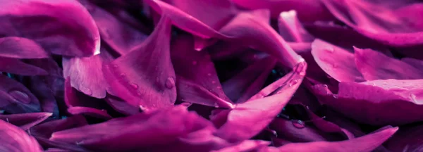 Fondo floral abstracto, pétalos de flores moradas en agua — Foto de Stock