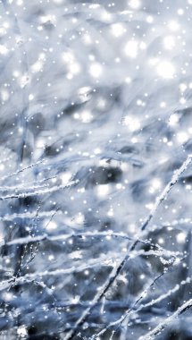 Kış tatili arka plan, parlak kar ve Co ile doğa manzarası