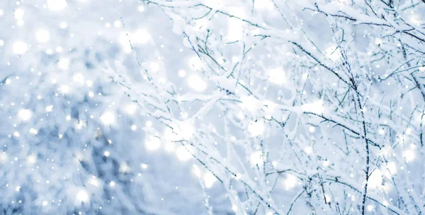 Tło zimowe wakacje, natura dekoracje z błyszczącym śniegu i co — Zdjęcie stockowe