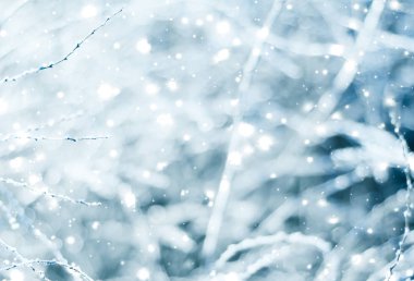 Kış tatili arka plan, parlak kar ve Co ile doğa manzarası