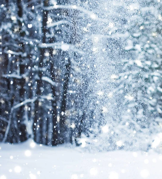 冬休みの背景、光沢のある雪と共同で自然の風景 — ストック写真