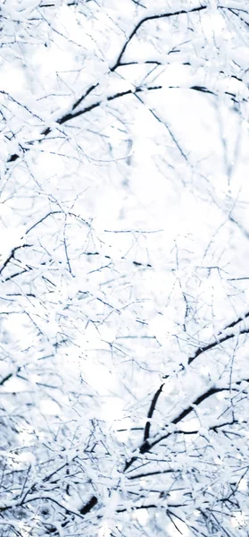 Χειμερινό φόντο διακοπών, φύση τοπίο με γυαλιστερό χιόνι και Co — Φωτογραφία Αρχείου