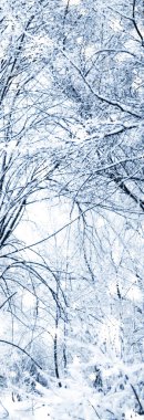 Kış tatili arka plan, parlak kar ve Co ile doğa manzarası