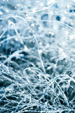 Kış tatili arka plan, parlak kar ve Co ile doğa manzarası