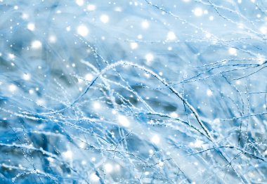 Kış tatili arka plan, parlak kar ve Co ile doğa manzarası