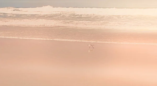 Vista de la costa del océano, viaje perfecto y destino de vacaciones —  Fotos de Stock