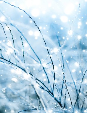 Kış tatili arka plan, parlak kar ve Co ile doğa manzarası